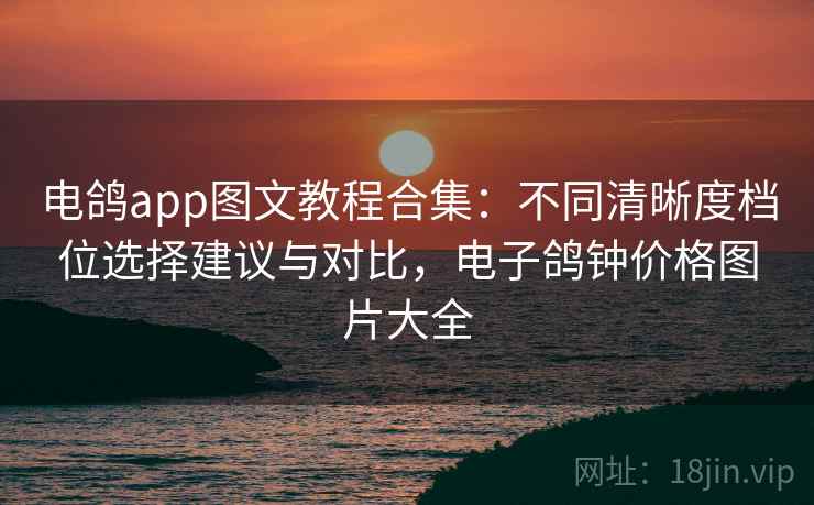 电鸽app图文教程合集：不同清晰度档位选择建议与对比，电子鸽钟价格图片大全