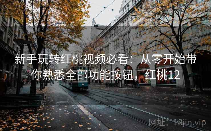 新手玩转红桃视频必看：从零开始带你熟悉全部功能按钮，红桃12