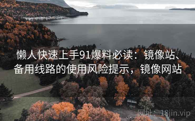 懒人快速上手91爆料必读：镜像站、备用线路的使用风险提示，镜像网站
