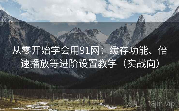 从零开始学会用91网：缓存功能、倍速播放等进阶设置教学（实战向）