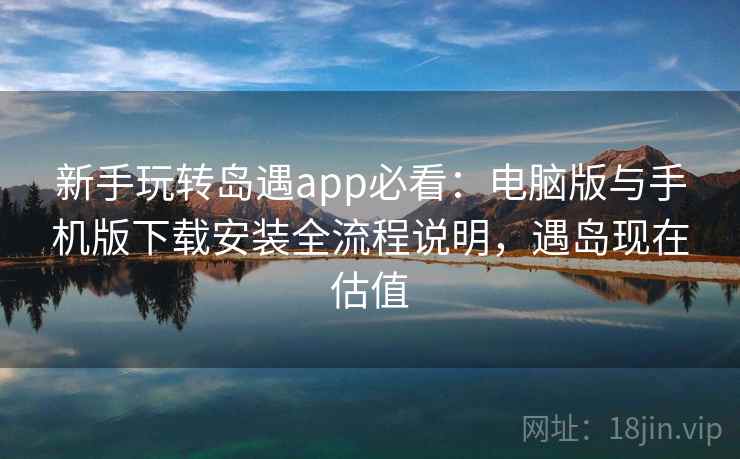 新手玩转岛遇app必看：电脑版与手机版下载安装全流程说明，遇岛现在估值