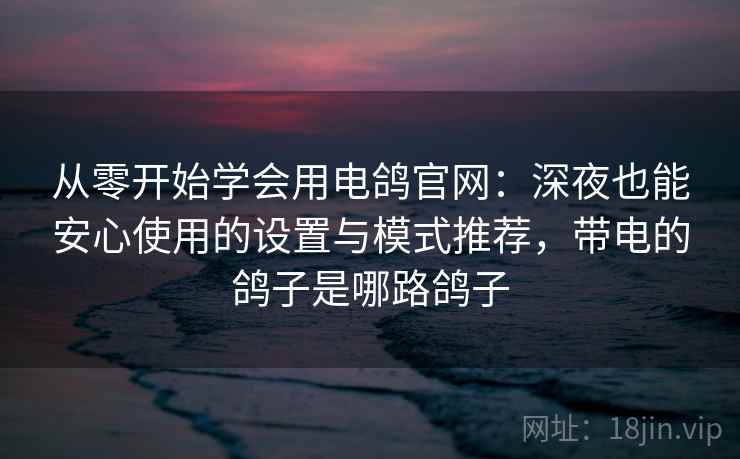从零开始学会用电鸽官网：深夜也能安心使用的设置与模式推荐，带电的鸽子是哪路鸽子