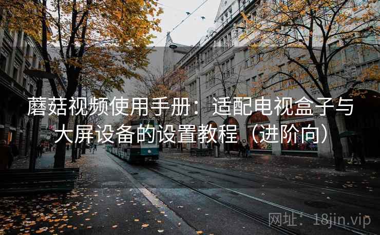 蘑菇视频使用手册：适配电视盒子与大屏设备的设置教程（进阶向）