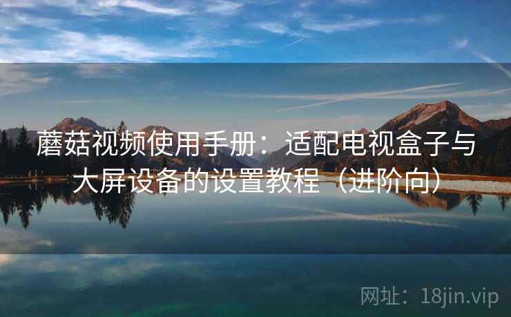 蘑菇视频使用手册：适配电视盒子与大屏设备的设置教程（进阶向）