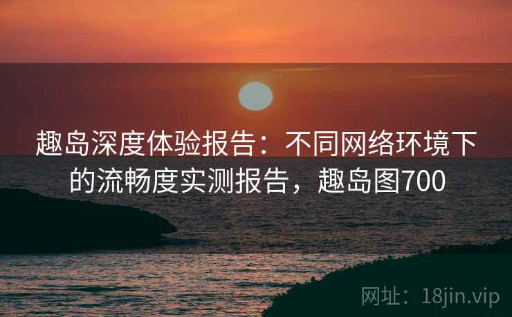 趣岛深度体验报告：不同网络环境下的流畅度实测报告，趣岛图700