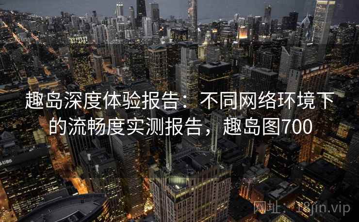 趣岛深度体验报告：不同网络环境下的流畅度实测报告，趣岛图700