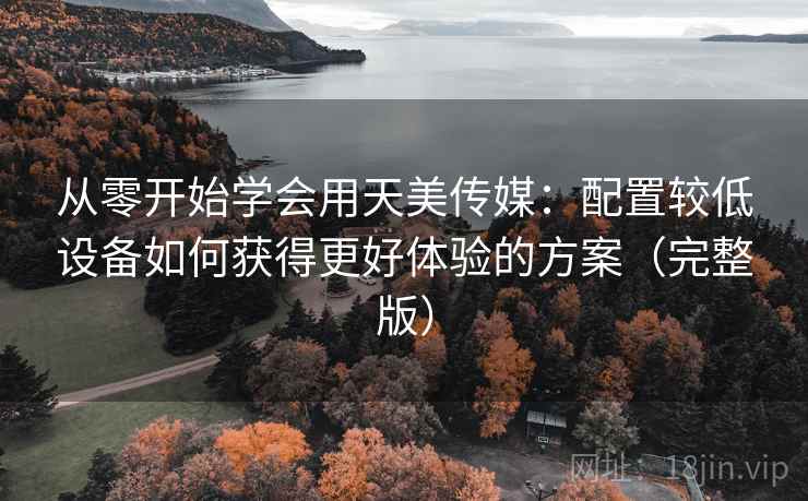 从零开始学会用天美传媒：配置较低设备如何获得更好体验的方案（完整版）