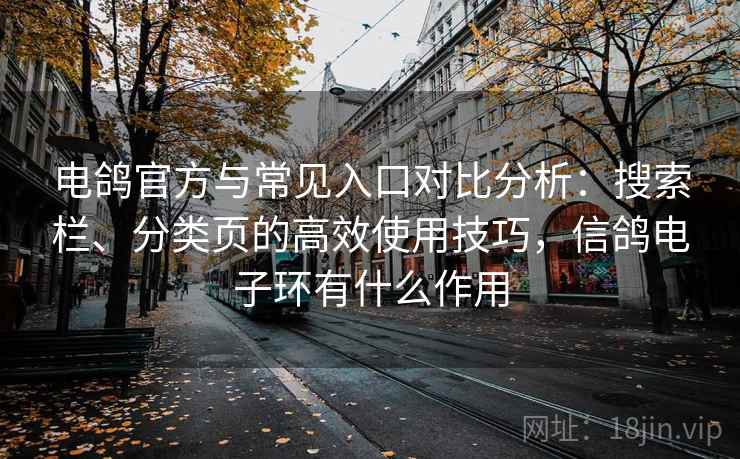 电鸽官方与常见入口对比分析：搜索栏、分类页的高效使用技巧，信鸽电子环有什么作用