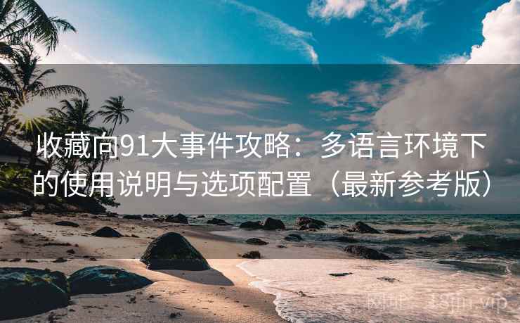 收藏向91大事件攻略：多语言环境下的使用说明与选项配置（最新参考版）