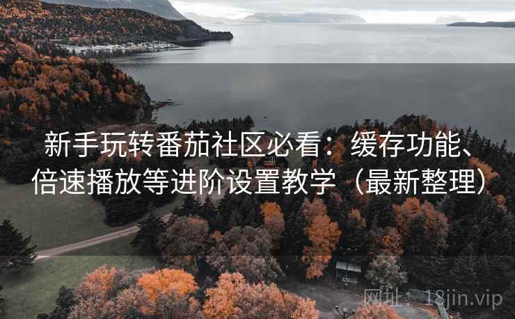 新手玩转番茄社区必看：缓存功能、倍速播放等进阶设置教学（最新整理）
