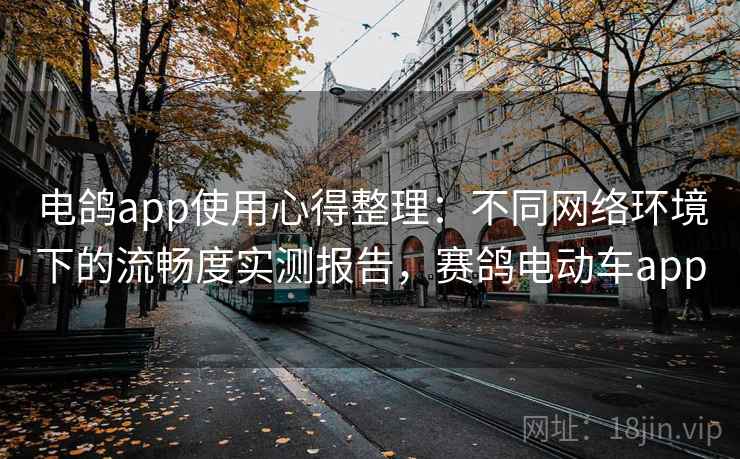 电鸽app使用心得整理：不同网络环境下的流畅度实测报告，赛鸽电动车app