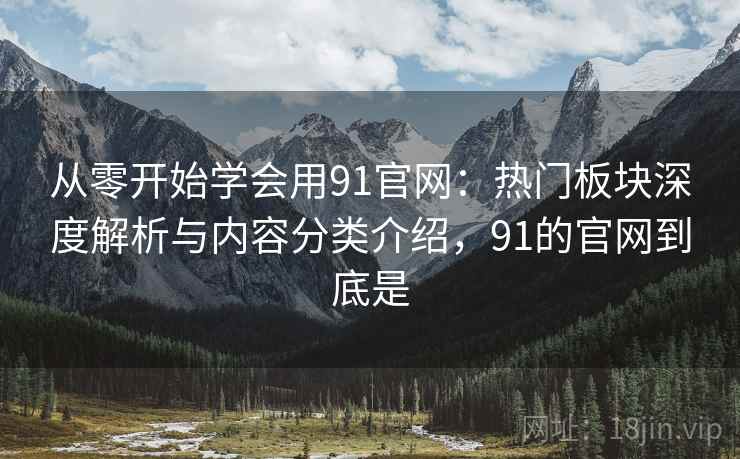 从零开始学会用91官网：热门板块深度解析与内容分类介绍，91的官网到底是
