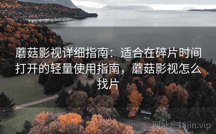 蘑菇影视详细指南：适合在碎片时间打开的轻量使用指南，蘑菇影视怎么找片