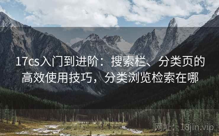 17cs入门到进阶：搜索栏、分类页的高效使用技巧，分类浏览检索在哪