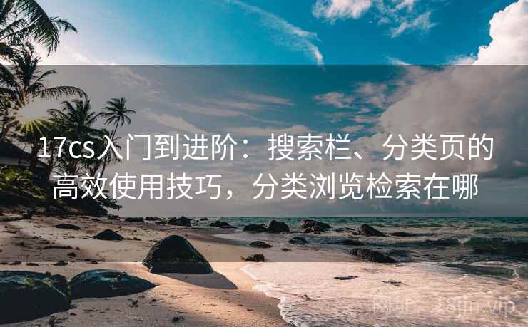 17cs入门到进阶:搜索栏、分类页的高效使用技巧,分类浏览检索在哪 17cs入门到进阶:搜索栏、分类页的高效使用技巧,分类浏览检索在哪