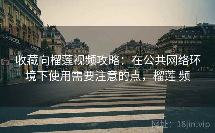 收藏向榴莲视频攻略：在公共网络环境下使用需要注意的点，榴莲 频